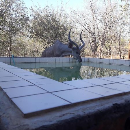 Eagle'S Crest Villa Marloth Park Buitenkant foto
