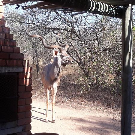 Eagle'S Crest Villa Marloth Park Buitenkant foto