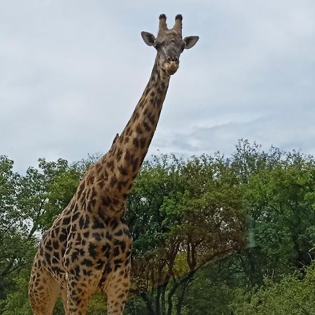 Eagle'S Crest Villa Marloth Park Buitenkant foto