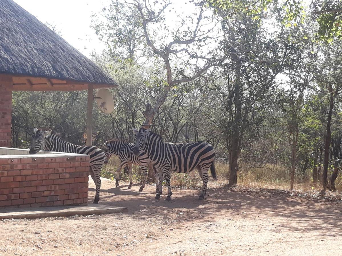 Eagle'S Crest Villa Marloth Park Buitenkant foto