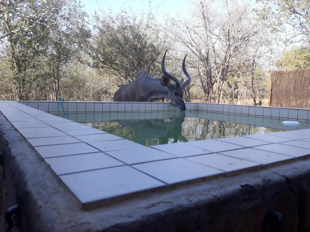 Eagle'S Crest Villa Marloth Park Buitenkant foto