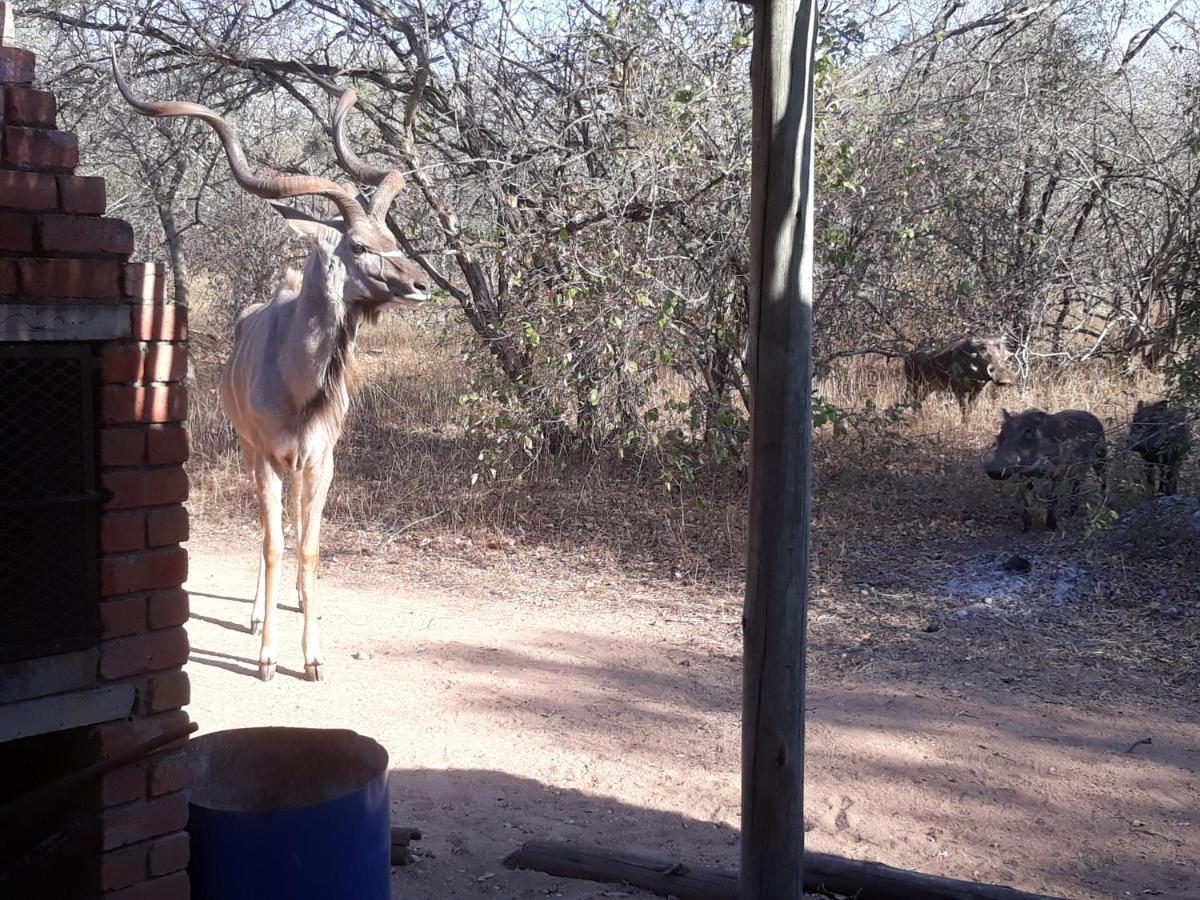 Eagle'S Crest Villa Marloth Park Buitenkant foto