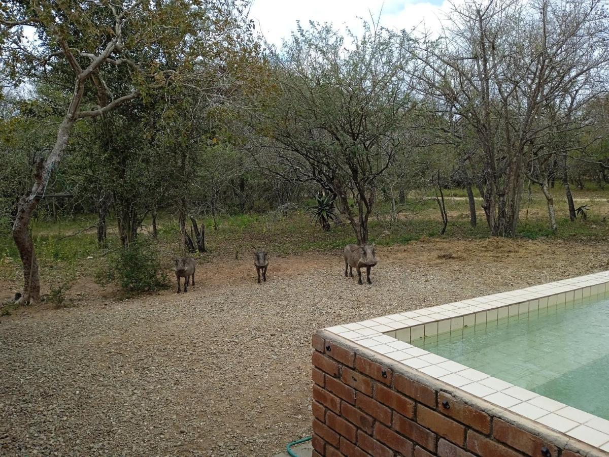 Eagle'S Crest Villa Marloth Park Buitenkant foto