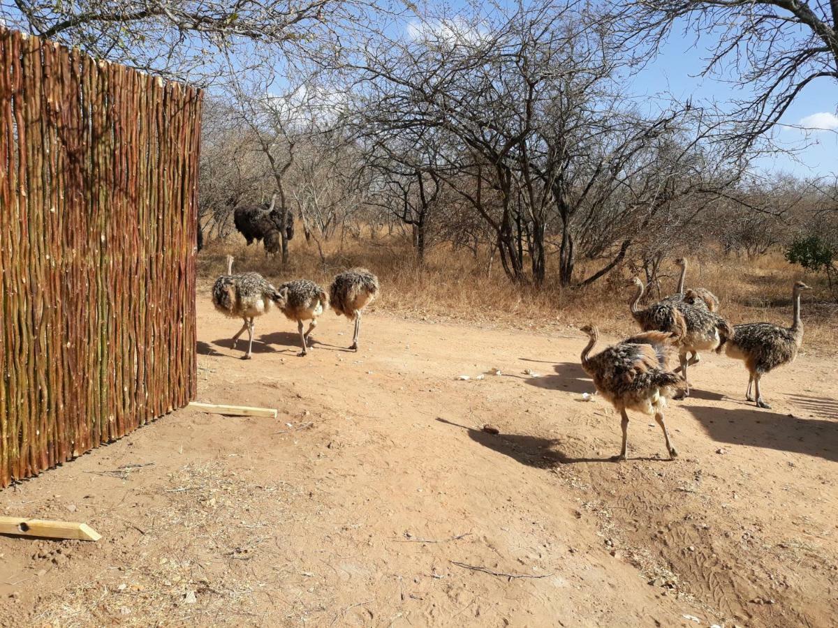Eagle'S Crest Villa Marloth Park Buitenkant foto